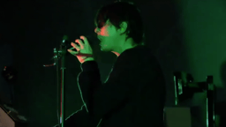 Panda Bear