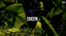 Sheen
