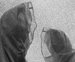 SHXCXCHCXSH