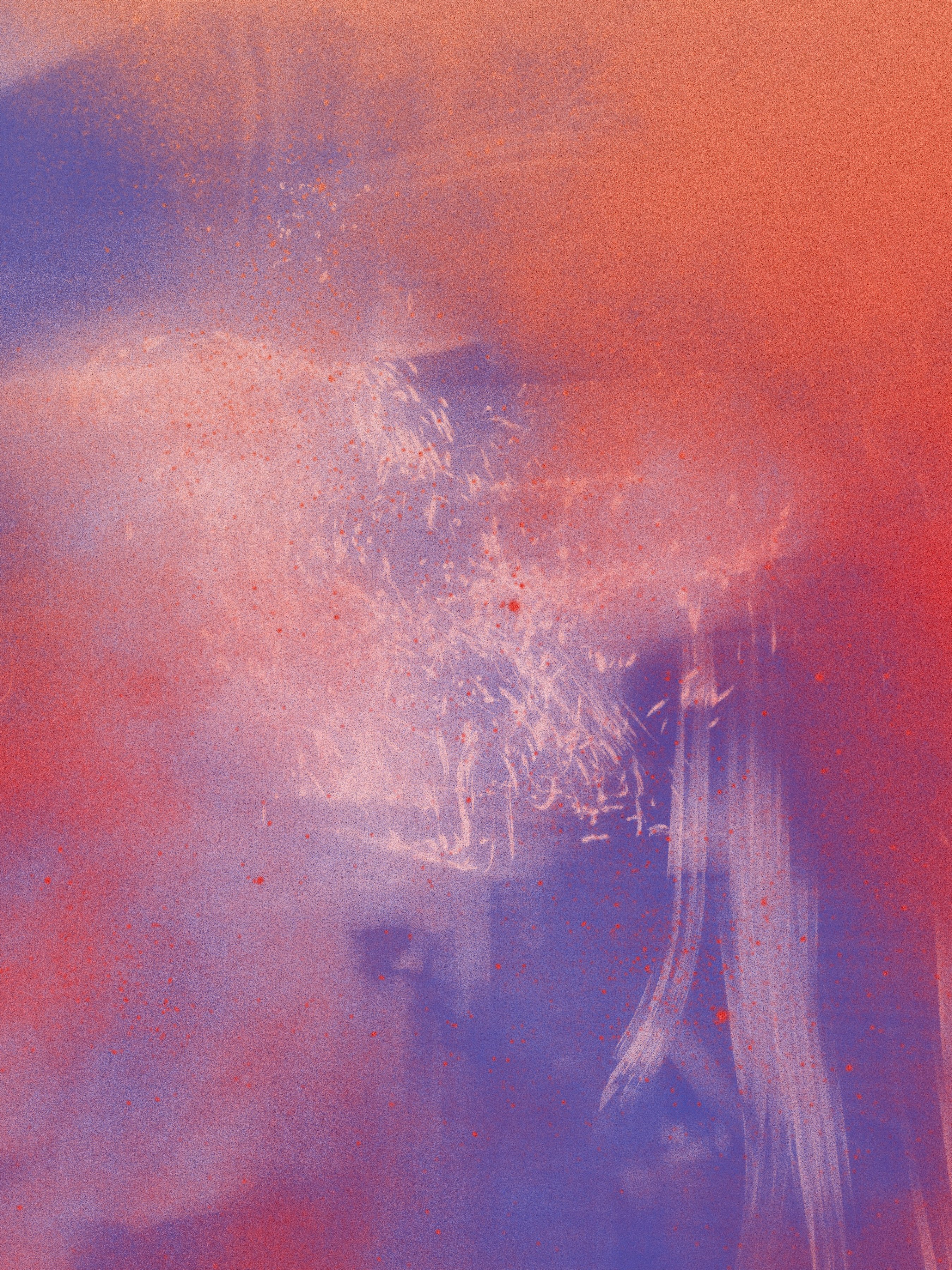 Flyer for event Boiler Room x Festival of Disruption.