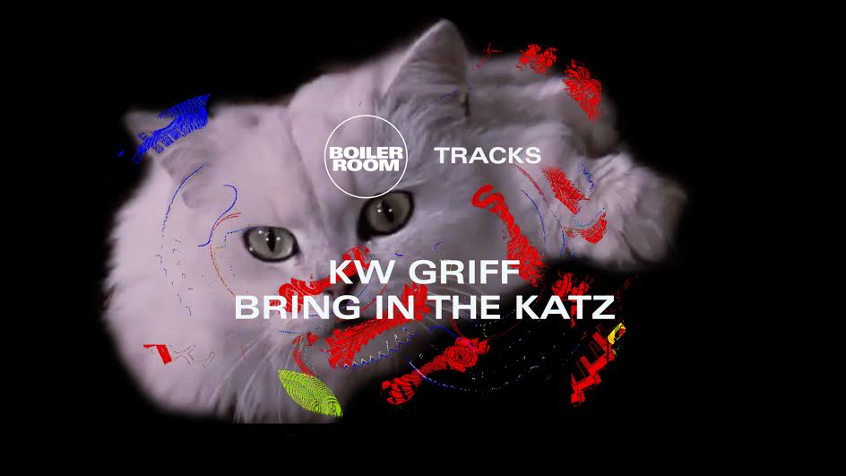Photo of set How Night Slugs Blew Up 2012 with W Griff's Bring In The Katz.