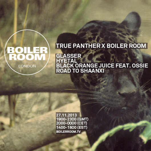 True Panther flyer
