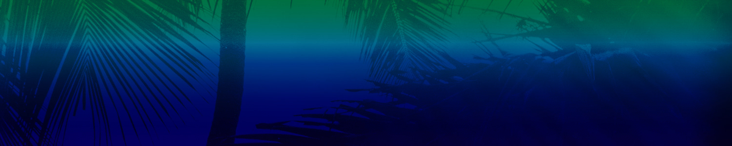 Tulum: Traumprinz b2b DJ Metatron, Dudley Strangeways, Dasha Redkina, Uchi & more. flyer