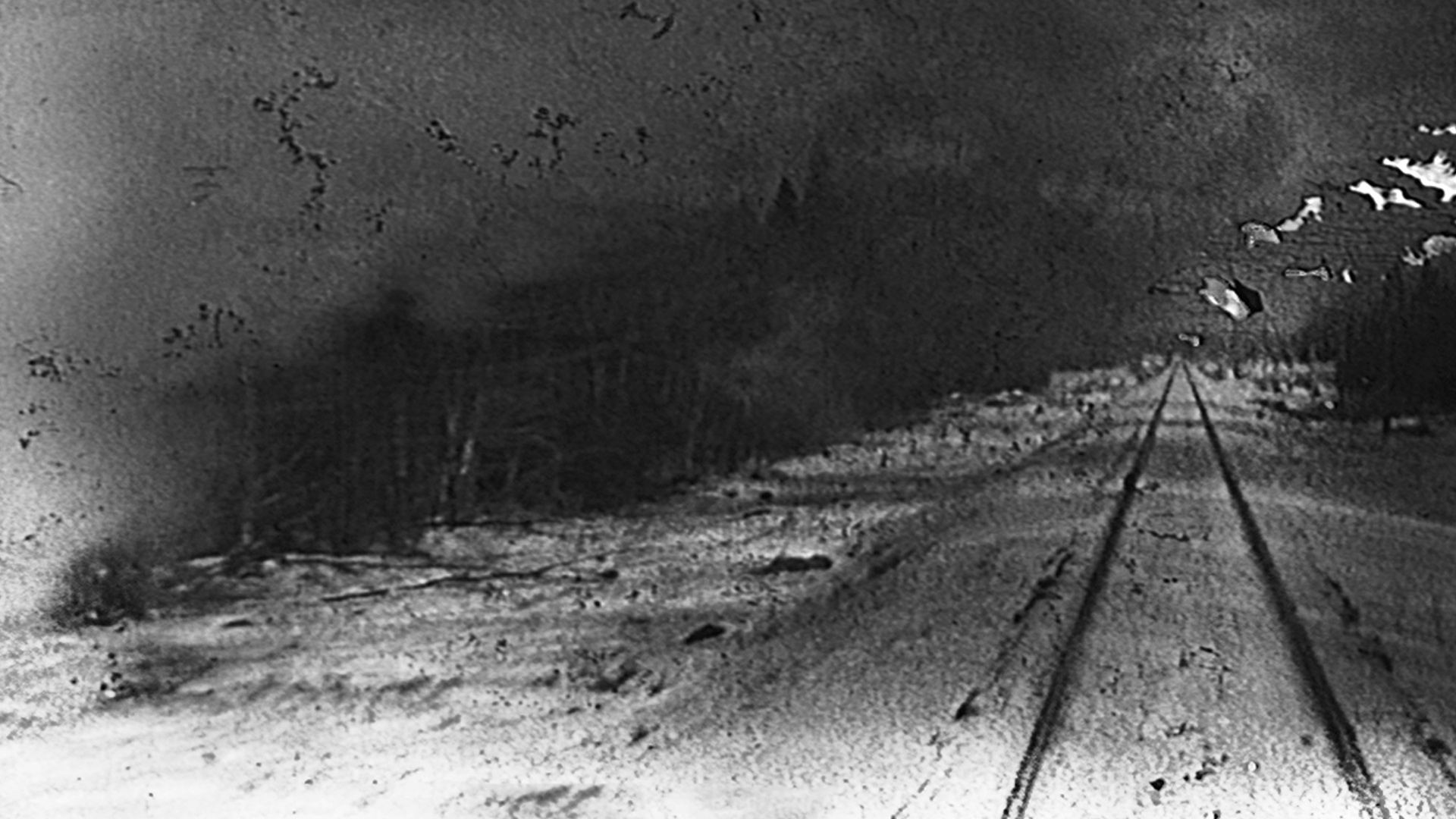 Liverpool: Metal presents Steve Reich’s Different Trains with London Contemporary Orchestra flyer