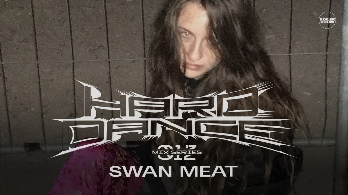 Photo of set HARD DANCE 012 - Swan Meat.