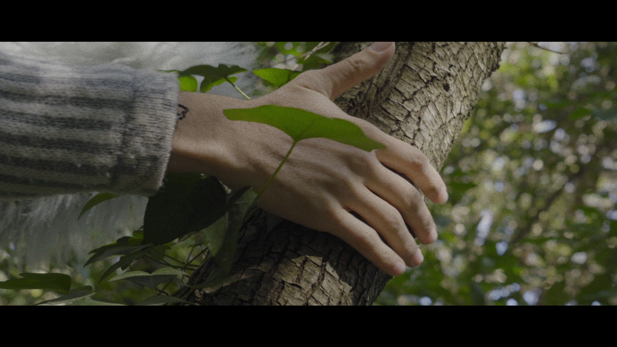 Photo of set Ser-Tiempo.