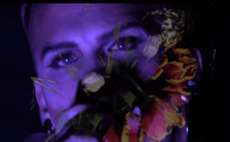 Poisonous Relationship