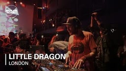Little Dragon