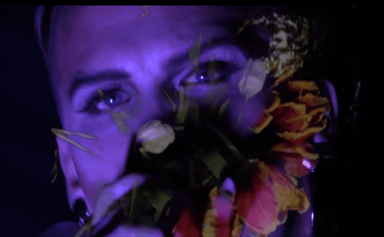 Photo of set Poisonous Relationship.