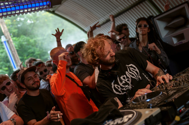 Photo of set Dollkraut.