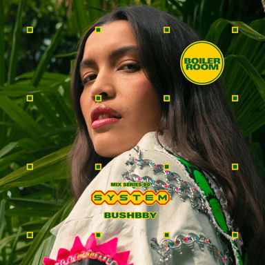 Photo of set SYSTEM Mix 080: Bushbby.