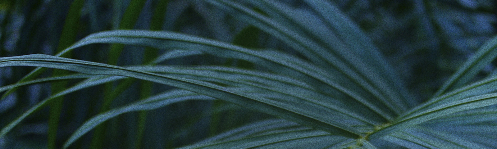 Flyer for event Los Angeles: 5 Chuckles, Jamma-Dee, Pink Siifu, Giovanni Marks, Ahwlee & Pie2K.