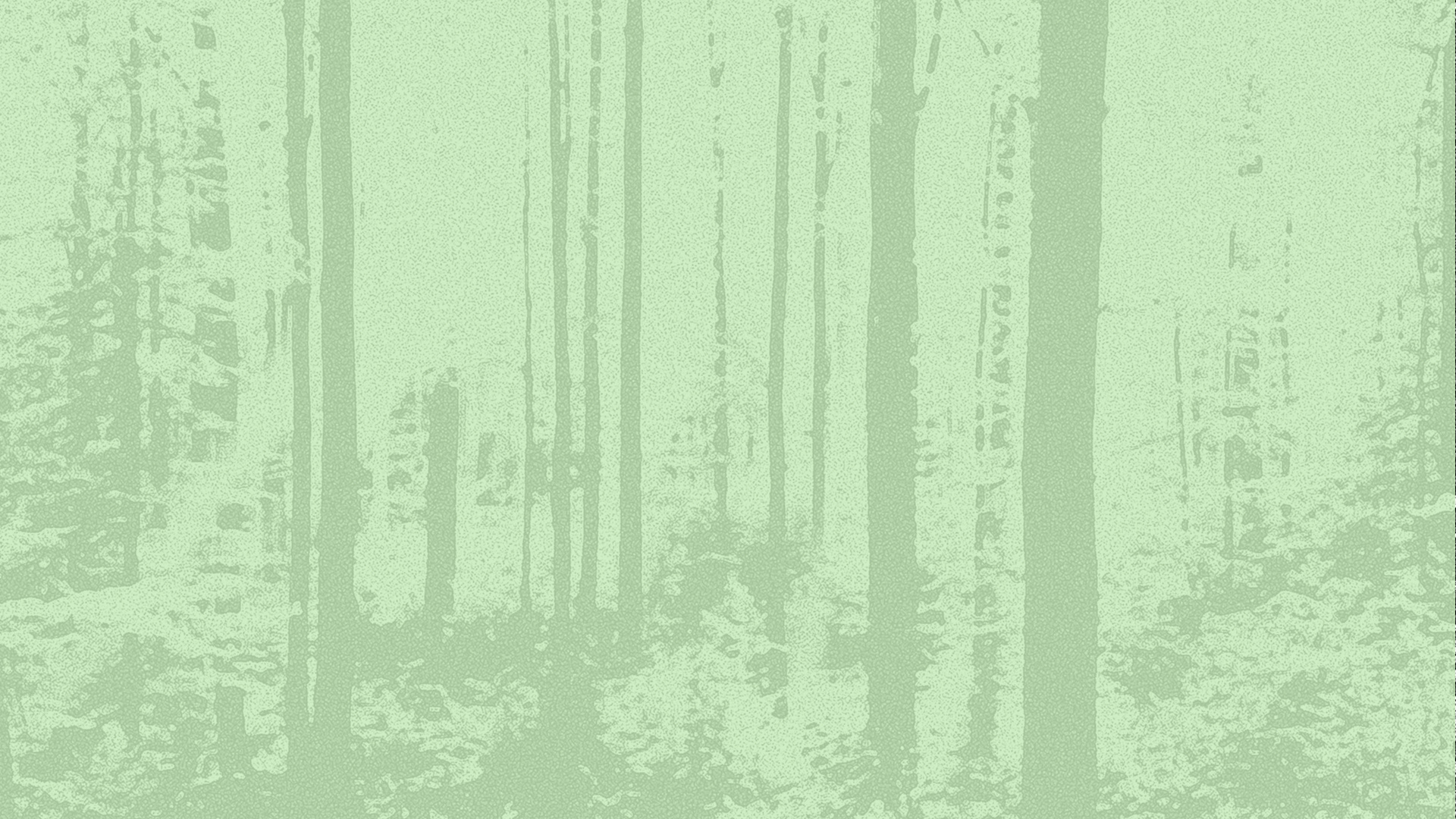 Flyer for event From The Counter: Berlin.