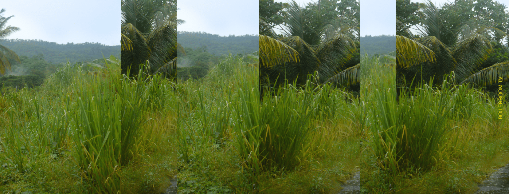 Flyer for event Boiler Room Los Angeles: #RailUp.