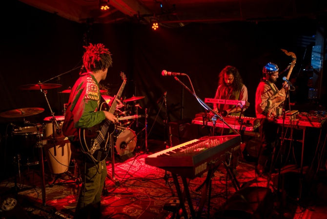Photo of set Flamingods.
