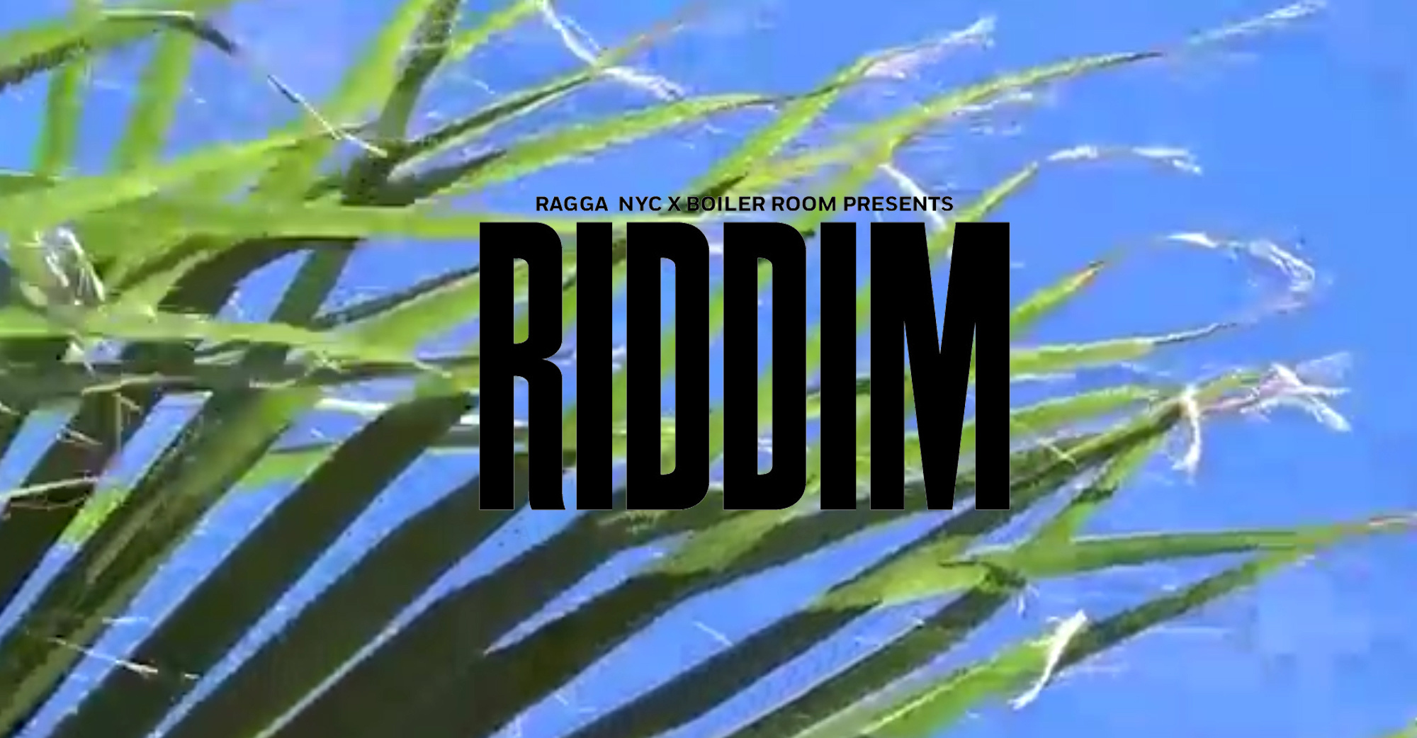 Flyer for event RIDDIM: A Day of Workshops, Learning & Music with RAGGA NYC.