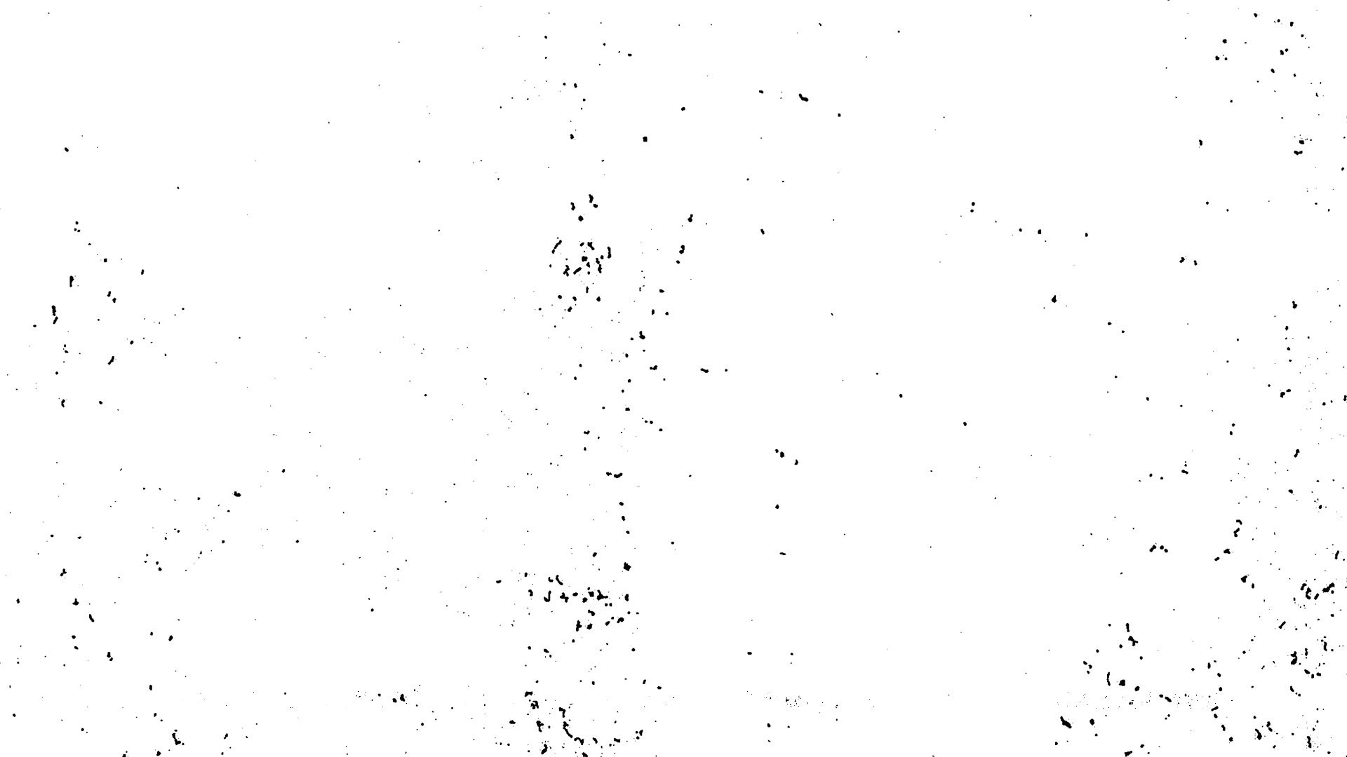 Show Background
