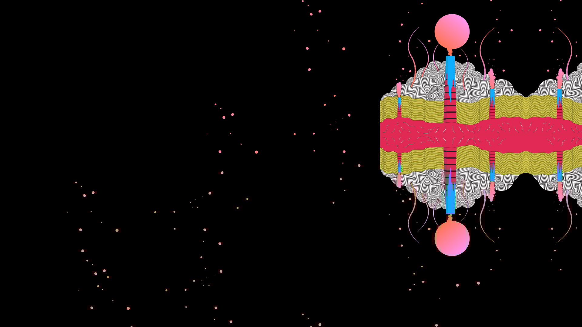 Show Background