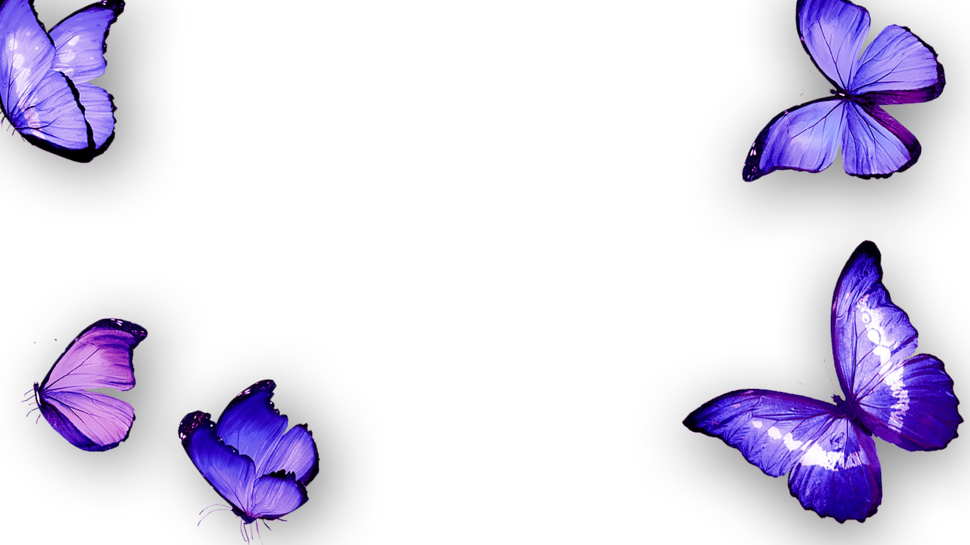 Show Background