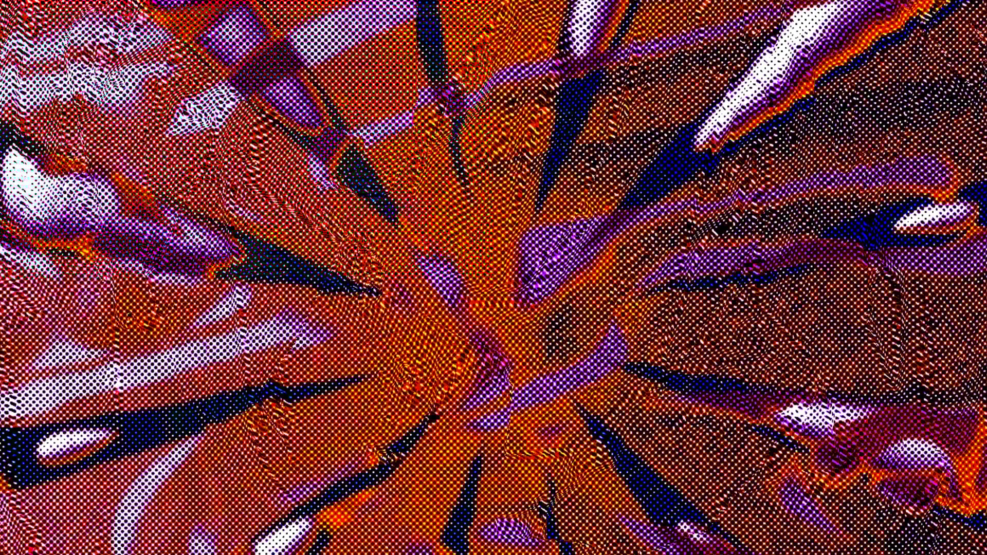 Show Background