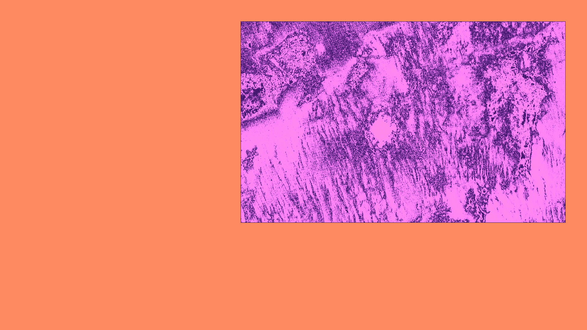 Show Background