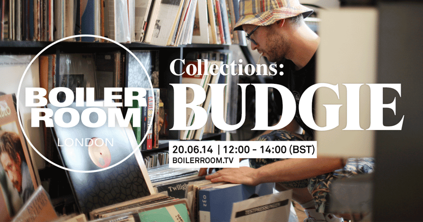 Flyer for event Collections: Budgie.
