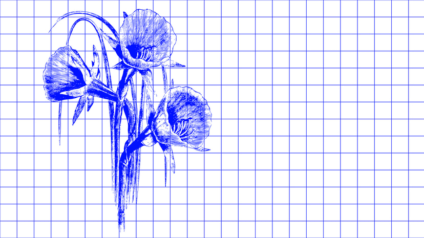 Flyer for event Szczecin: Friends of PETS.